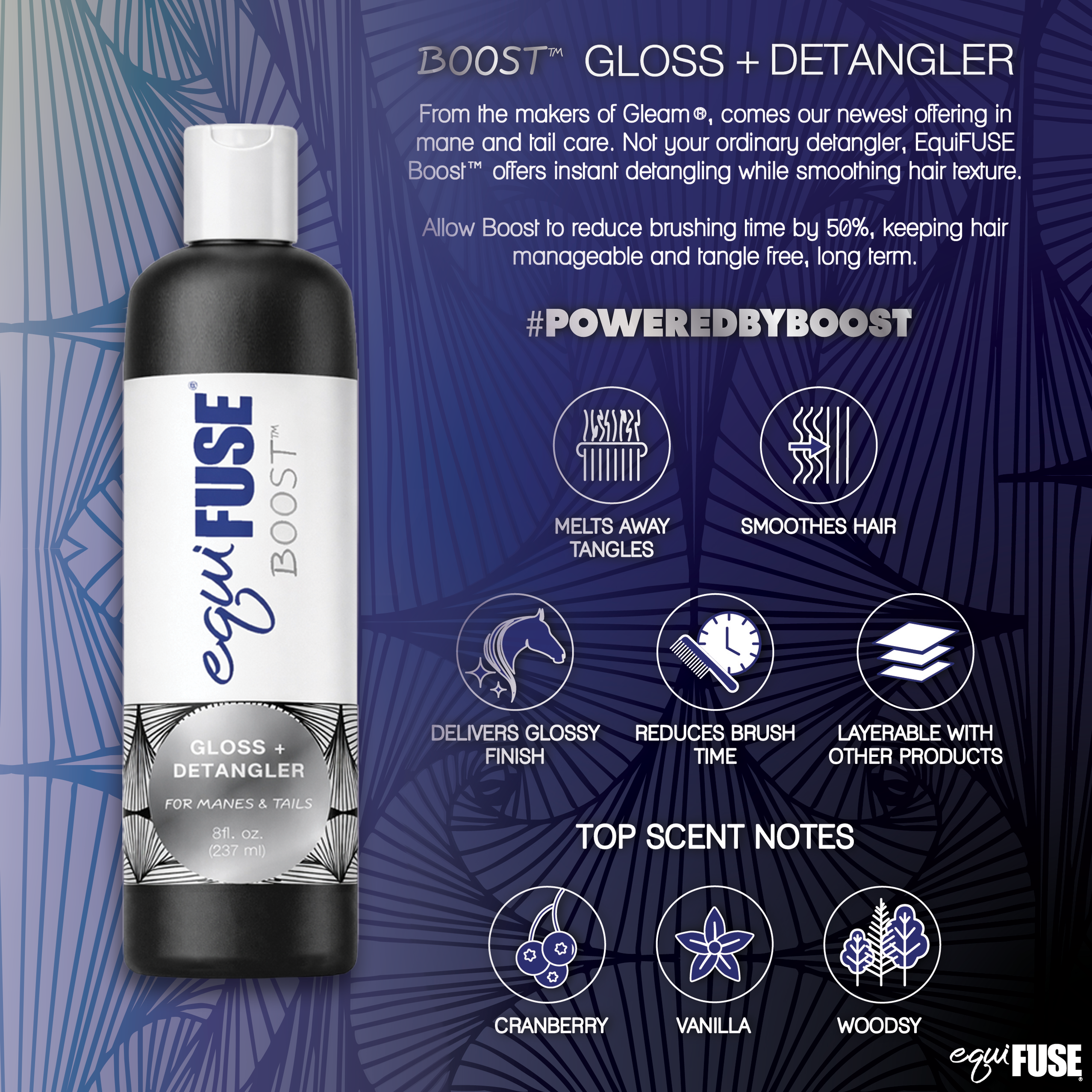 Boost Gloss + Detangler 8 oz - Image 2