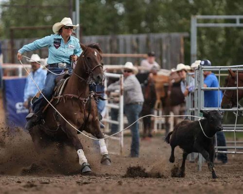 (Covy Moore/CovyMoore.com)